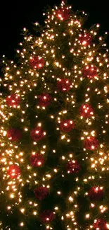 Festive Christmas tree with glowing lights and red ornaments at night.