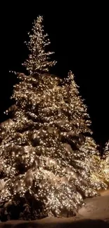 Glowing Christmas tree with holiday lights against a snowy, dark winter background.