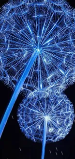 Blue glowing dandelions against a dark background.