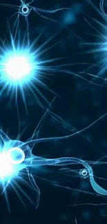 Glowing electric blue neurons on a dark background.