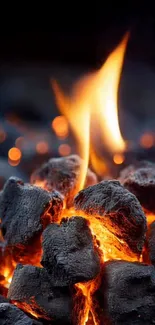 Close-up of glowing embers with a flickering flame.