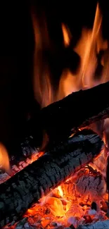 Glowing embers and flames from a burning log on a dark background.