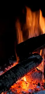 A cozy fireplace with bright orange flames and burning logs.