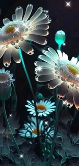 Glowing daisies on dark background wallpaper for mobile.