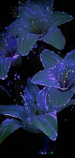 Glowing purple flowers on dark background wallpaper.