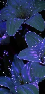 Glowing flowers against a deep, dark background.