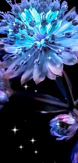 Glowing flower with vibrant blue hues on a dark background for mobile wallpaper.