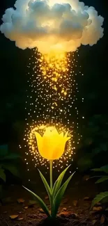 Magical glowing flower under a cloud with sparkling lights in a dark forest.