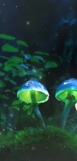 Luminescent green mushrooms in a dark forest setting.