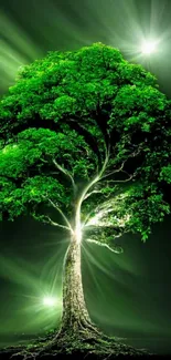 Illuminated green tree in dark serene setting.