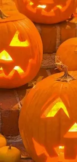 Glowing carved pumpkins on Halloween night.