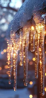 Glowing icicles with warm lights in winter.