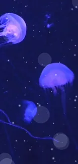 Glowing jellyfish float in a dark blue ocean.