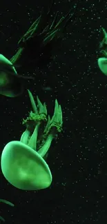 Glowing dark green jellyfish in deep ocean scene.