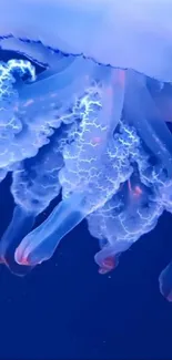 Glowing jellyfish floating in deep blue ocean background.