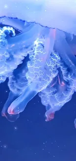 Mesmerizing glowing jellyfish against a blue backdrop for mobile wallpaper.