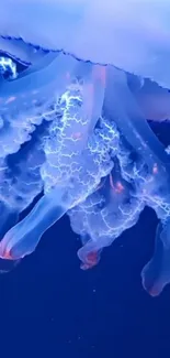 Ethereal jellyfish glows against deep blue backdrop in stunning mobile wallpaper.