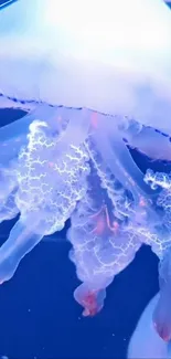 Glowing jellyfish in a vibrant blue ocean setting.