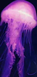 Purple glowing jellyfish wallpaper for mobile.