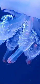 Glowing blue jellyfish with intricate tentacles, set in a deep ocean background.