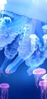 Ethereal glowing jellyfish float gracefully in a deep blue ocean scene.