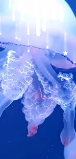 Glowing jellyfish against a deep blue ocean background.