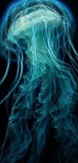 Glowing blue jellyfish in ocean depths wallpaper.