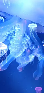 Glowing blue jellyfish floating in an underwater scene.