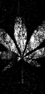 Black and white leaf glowing against starry sky wallpaper.