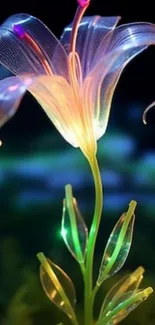 Ethereal glowing lily on a dark background.
