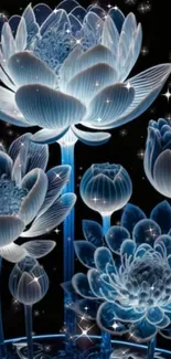 Glowing blue lotus flowers with starry backdrop.