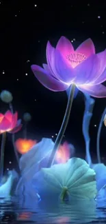 Glowing lotus flowers with pink petals on water at night.