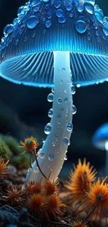 Glowing blue mushroom with water droplets in a fantasy scene.