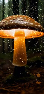 Illuminated mushroom in dark enchanted forest.