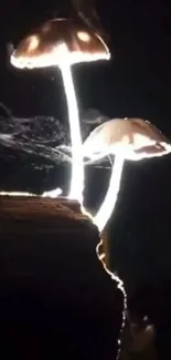 Glowing mushrooms in a dark forest scene.