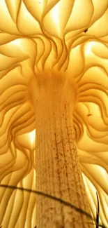 Glowing mushroom viewed from below with intricate gills and warm yellow light.