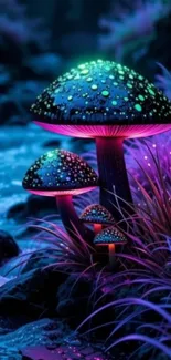 Glowing mushrooms in a mystical forest at night.