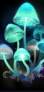 Glowing neon mushrooms wallpaper, featuring cyan and teal luminescent fungi.