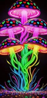 Colorful neon mushrooms glowing on black background.