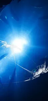 Underwater scene with glowing light and fish in the ocean.