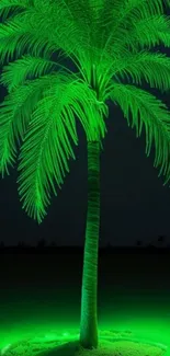 A neon green palm tree glowing at night.
