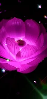 Glowing pink lotus flower against a dark background with sparkles.