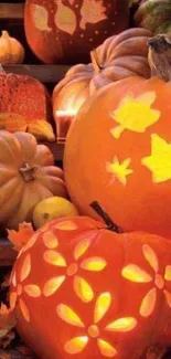 Glowing pumpkins with carved designs on wooden steps.