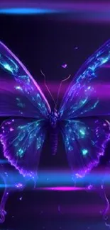 Glowing purple butterfly on a dark background wallpaper.