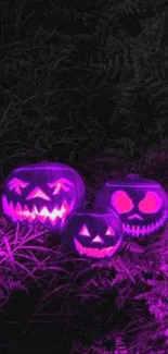 Purple glowing pumpkins in a spooky Halloween setting.