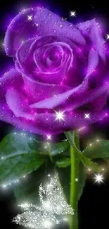 Enchanting glowing purple rose with sparkling accents on a phone wallpaper.