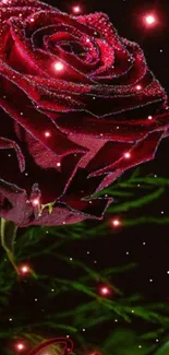 Glowing red rose with sparkles on a dark background.