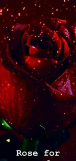 Stunning glowing red rose with subtle sparkles.