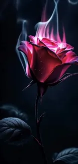 Glowing rose with smoke effect on dark background.