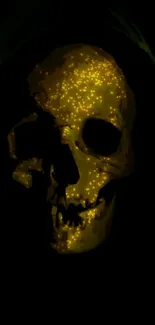 Glowing skull in the dark wallpaper with a mysterious vibe.